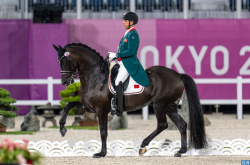 Equitación: Yessin Rahmouni, 13º en la clasificación final de la copa del mundo de adiestramiento