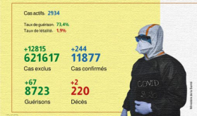 Covid-19: 244 nuevos casos confirmados y 67 recuperaciones en Marruecos en 24 horas (Sanidad)