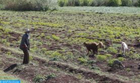 Convenio marco para la generalización del AMO básico a más de un millón y medio de agricultores