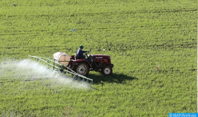 Campaña agrícola 2022-2023: Aumenta un 61,8% la producción de cereales (Ministerio)