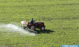 Los países del Sahel pueden aprovechar la gran experiencia de Marruecos en el ámbito agrícola (Economista)