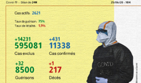 Covid-19: 431 nuevos casos confirmados y 32 recuperaciones en Marruecos en 24 horas (Sanidad)