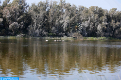 Marruecos es miembro observador de la Red de Fiscales Europeos para el Medio Ambiente