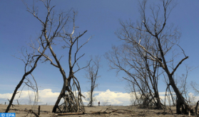 Casablanca: El 34º Coloquio Anual de la Asociación Internacional de Climatología se celebrará del 7 al 10 de julio a distancia