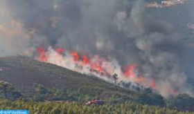 Provincia de Jenifra: Los incendios forestales de "Ybal Ammar Teskart" y "Buidar" están completamente controlados