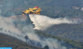 Región TTA: continúan los esfuerzos para controlar cuatro incendios forestales