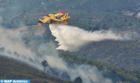 Tánger: El incendio del bosque de Cap Spartel contenido al 85%