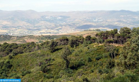 Bosques: Disminuye un 47% la superficie quemada hasta el 26 de septiembre