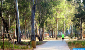 La estrategia "Bosques de Marruecos" presentada en la FAO