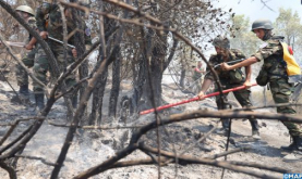 Provincia de Fahs-Anjra: 35 hectáreas arrasadas por el incendio declarado en el aduar "Ued El-Rmel", continúan los esfuerzos para contenerlo (Fuentes locales)