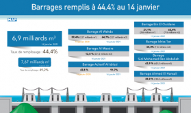 Sube a más del 44% la tasa de llenado de presas a mediados de enero (Ministerio)