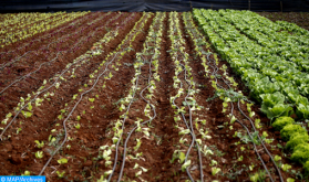 El programa de irrigación para la actual campaña agrícola se desarrolla en condiciones normales a pesar del retraso de las lluvias (Baitas)