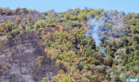 Mdiq-Fnideq: El incendio del bosque de "Kodiat Tifur" está casi totalmente controlado