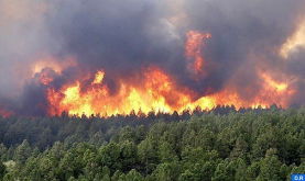 Provincia de Tetuán: nuevos refuerzos humanos y técnicos para combatir un incendio forestal que arrasó 100 hectáreas (fuentes locales)