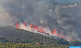 Ouezzan: Continúan las operaciones para controlar el incendio declarado entre las comunas de Zoumi y Mokrisset