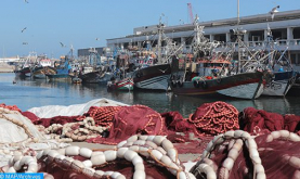 Puerto de Safi: Suben un 12% los desembarques de pesca costera y artesanal a finales de noviembre de 2022 (ONP)