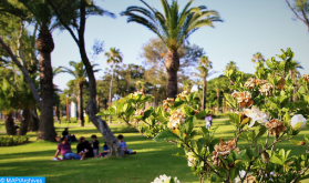 Marruecos es "muy activo" en materia de política medioambiental (director residente de la GIZ)