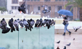 Fuertes lluvias mañana miércoles en algunas provincias del Reino (Boletín especial)