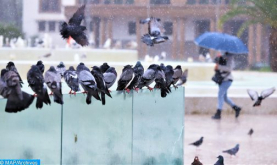 Nevadas y fuertes lluvias a veces tormentosas del jueves al viernes en varias provincias del Reino (Boletín de alerta)