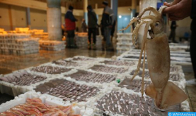 Lanzado en Rabat un proyecto dedicado a las mujeres pescadoras para un acceso sostenible a los recursos pesqueros