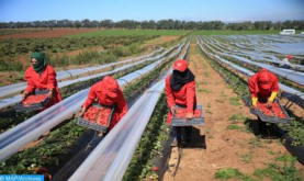 Repatriación a partir del sábado de las temporeras marroquíes que trabajan en Huelva