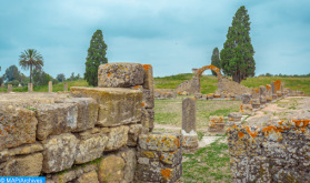 Hacia la organización en 2022 de una conferencia internacional sobre el patrimonio prehistórico en Marruecos