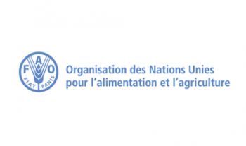 Grand Prix Mondial Hassan II de l'Eau : La FAO exprime ses remerciements à SM le Roi et au Maroc
