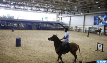 Salon du Cheval d'El Jadida: La course de barils... les montures à l'épreuve de parcours sinueux