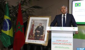 SIAM 2024 : ouverture du marché brésilien aux agrumes marocains