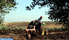 Le CAM et l'AFD allient leurs efforts pour accélérer le développement d'une agriculture durable