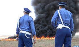 Casablanca: Incinération de plus de 9 tonnes de chira