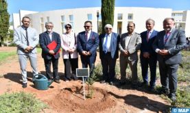 Rabat: plantation d'un chêne vert symbolisant l'amitié entre l'IRCAM et l'ambassade de Pologne