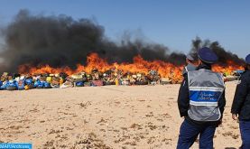 Plus de 2 tonnes de chira incinérées à Dakhla