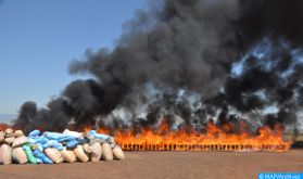 Tanger: destruction d'une quantité importante de drogues et de psychotropes