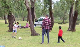 Forêt de Maamoura: Un échappatoire au coeur de la nature