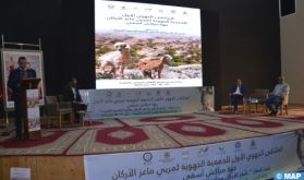 Essaouira à l'heure de la première rencontre régionale des éleveurs des caprins de l’arganier