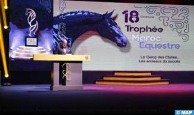 Le Trophée Maroc Equestre célèbre les cavaliers et cavalières marocains qui se sont distingués dans dix catégories