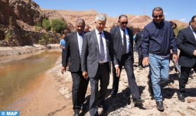 Province de Ouarzazate : M. Sadiki visite des zones agricoles affectées par les récentes précipitations