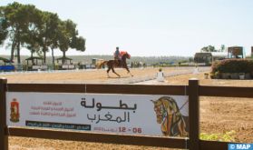 Coup d'envoi à Skhirat des tours qualificatifs des Championnats du Maroc de dressage, d'endurance et de saut d’obstacles