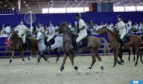 Le Horse-Ball: mi-basket, mi-rugby...à dos d'un cheval