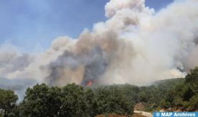 Incendies de forêts : risque “moyen” à “extrême”, du 29 au 31 juillet, dans plusieurs provinces (ANEF)