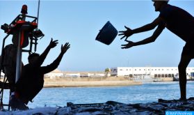 La pêche, un enjeu majeur des négociations à l'OMC