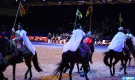 Salon du cheval d'El Jadida : un évènement incontournable dédié à la promotion de la filière équine et la valorisation du patrimoine immatériel