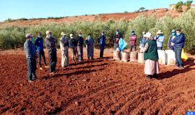 L’Agence MCA-Morocco et l’ONCA lancent un programme de renforcement des capacités des agriculteurs