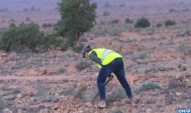 Commune de Tagante (Guelmim): Des efforts soutenus pour la régénération de l'arganier