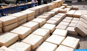 Agadir: mise en échec d'une tentative de trafic de plus 600kg de drogues