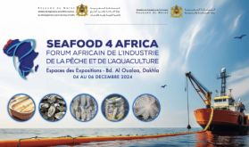 La FENIP organise le forum "Seafood 4 africa 2024", du 4 au 6 décembre à Dakhla