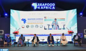 "Seafood 4 Africa 2024": Focus à Dakhla sur l'amélioration de la gouvernance des pêches et de l’aquaculture en Afrique