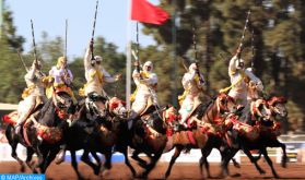 Trophée Hassan II des arts équestres traditionnels (Tbourida) : La 21è édition du 15 au 21 novembre à Rabat