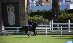 Un concours officiel de saut d'obstacles des jeunes chevaux organisé à Rabat par la Garde Royale